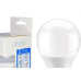 Lampada Led Bulbo Elgin A60 - 11W. 6500K.