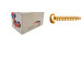 Parafuso New Fix Chip Pan 4,5 X 45 - Kit C/5 Centos