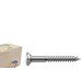 Parafuso Madeira Philips Nfix 4,5X 20 - Kit C/5 Centos