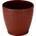 Vaso Rattan.Grande Coffee-0517