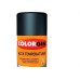 Spray Colorgin Alta Temp.Preto-5722