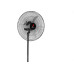 Ventilador Col.Ventura 60 Preto Bv