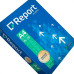 Papel Report Prem.A4 75G/M2 C/500F